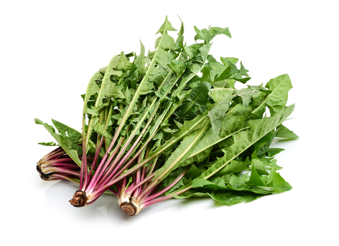 Can You Eat Dandelions? Benefits Root to Fluff Countryside